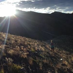 Meet your Posher, Connie